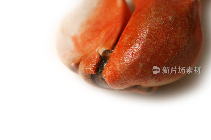 石蟹爪