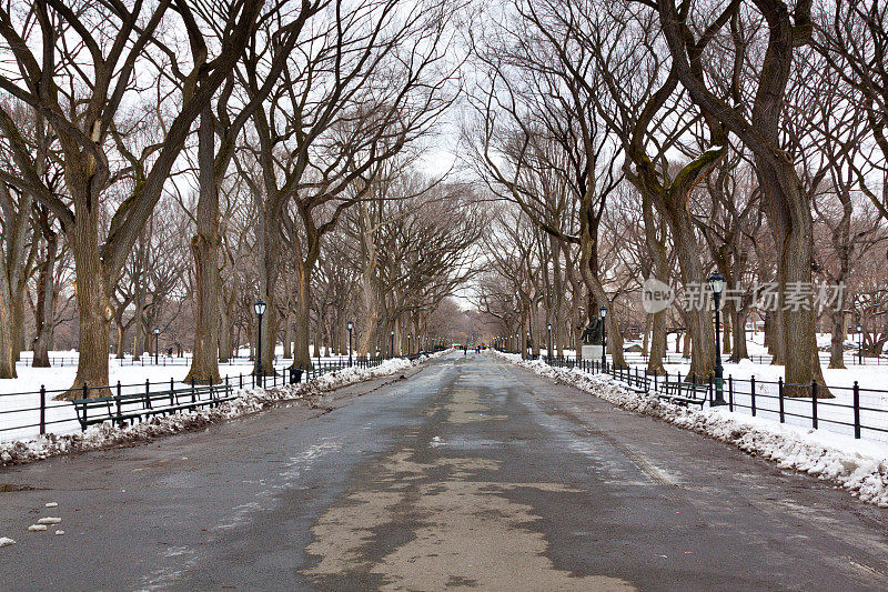 冬天的纽约中央公园。