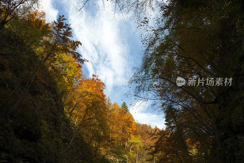 斯洛文尼亚Vintgar峡谷的秋叶和山峦