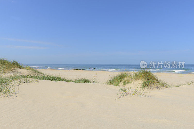 夏天在沙滩上有沙丘和海浪