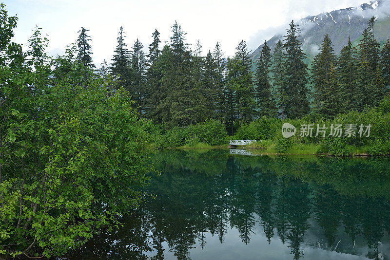 风景池塘在阿拉斯加苏厄德