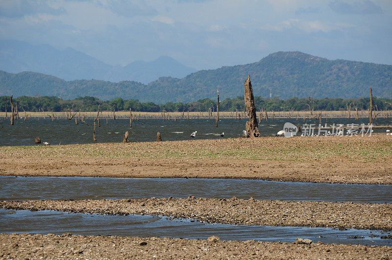 Polonnaruwa、斯里兰卡。