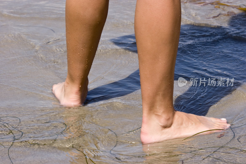 在海滩涉水，光脚，水，沙子，夏天，腿