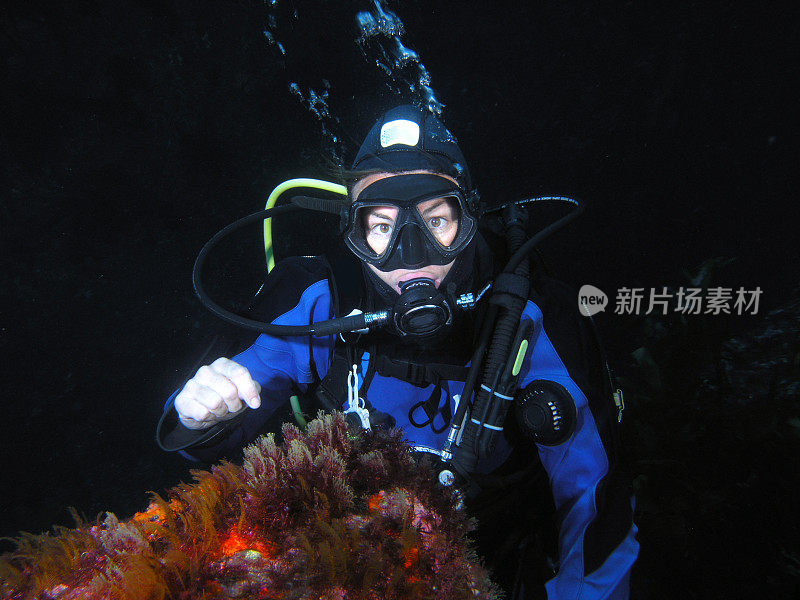 潜水员检查礁