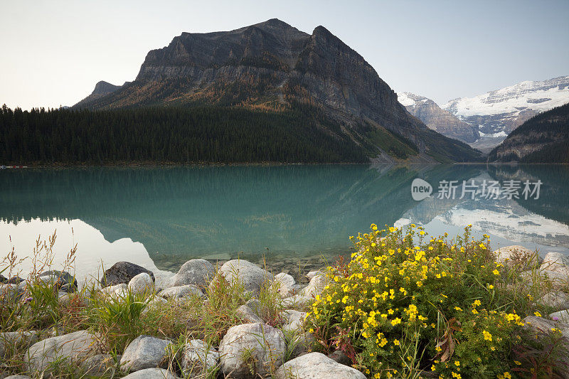 露易丝湖