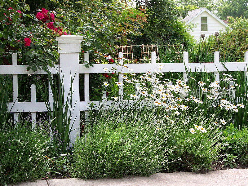 白色木栅栏与郁郁葱葱的鲜花和景观