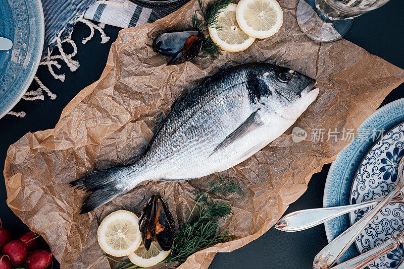 海鲷鱼的食物排列从上至下