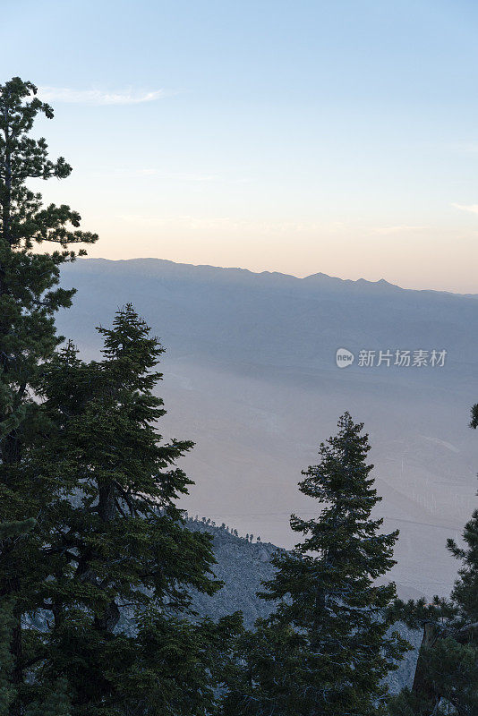 科切拉山谷和棕榈泉