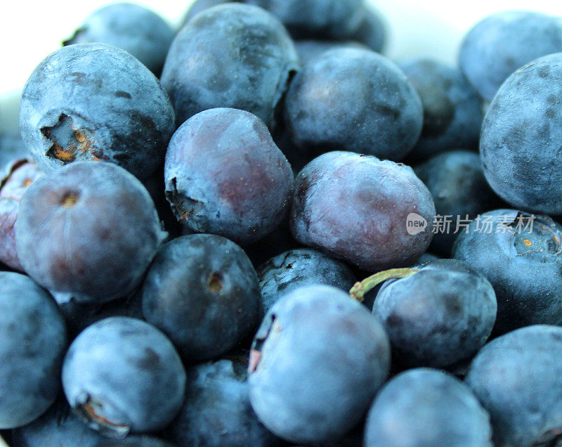一堆新鲜的有机蓝莓，健康的早餐