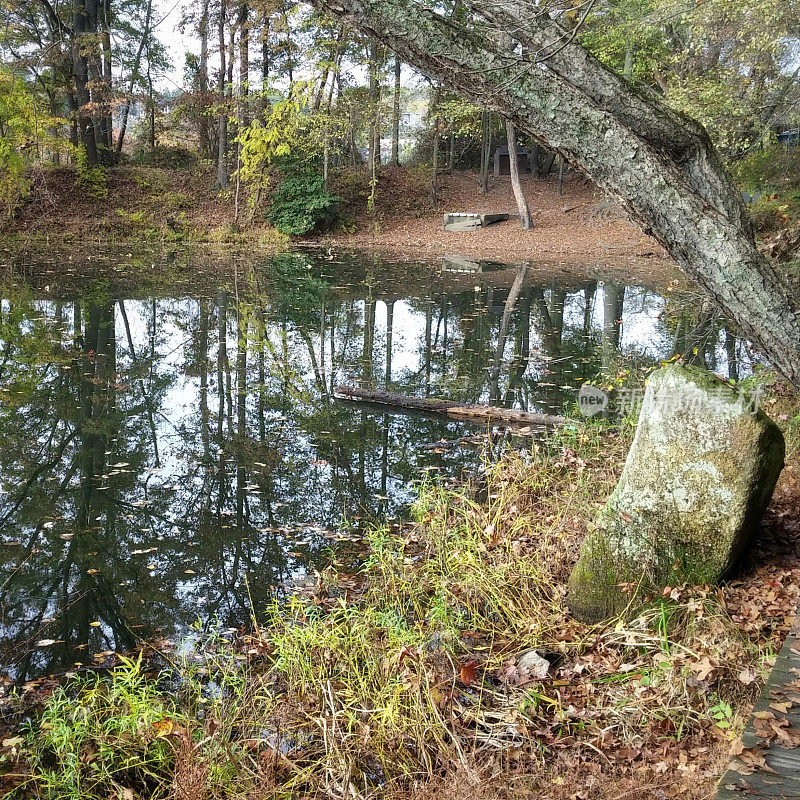 百丽岛采石场池塘反射里士满，弗吉尼亚州