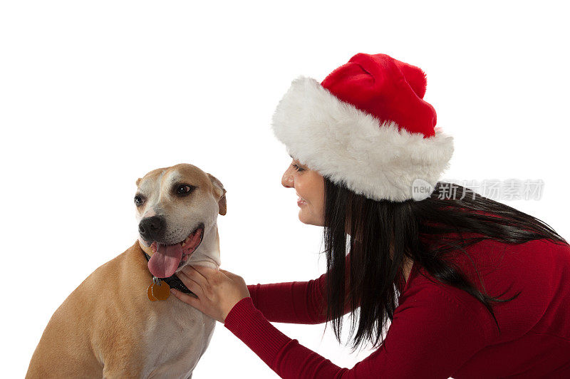 戴着圣诞帽的年轻女子与狗-孤立