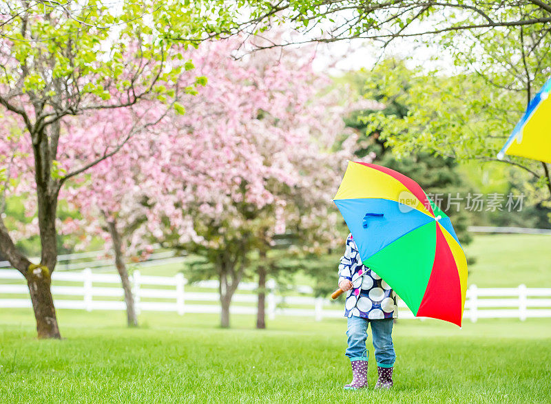 带着伞走过果园的小女孩