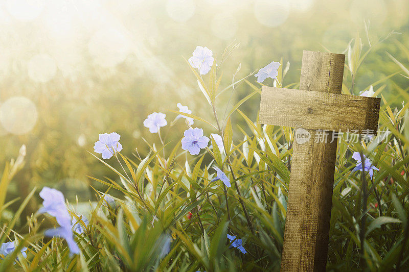 木制十字架和紫色的花与阳光