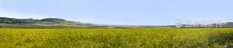 春光明媚，油菜花遍地，山峦叠嶂