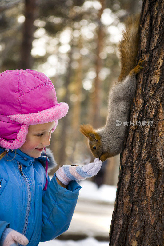 小女孩在冬天的森林里喂松鼠。