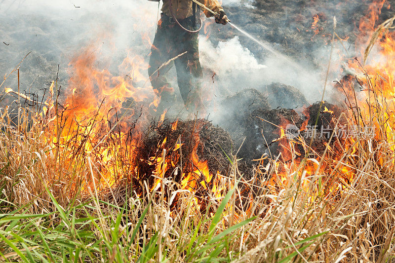 消防员在喷洒草原大火