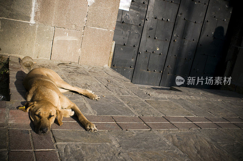 晚上的睡眠