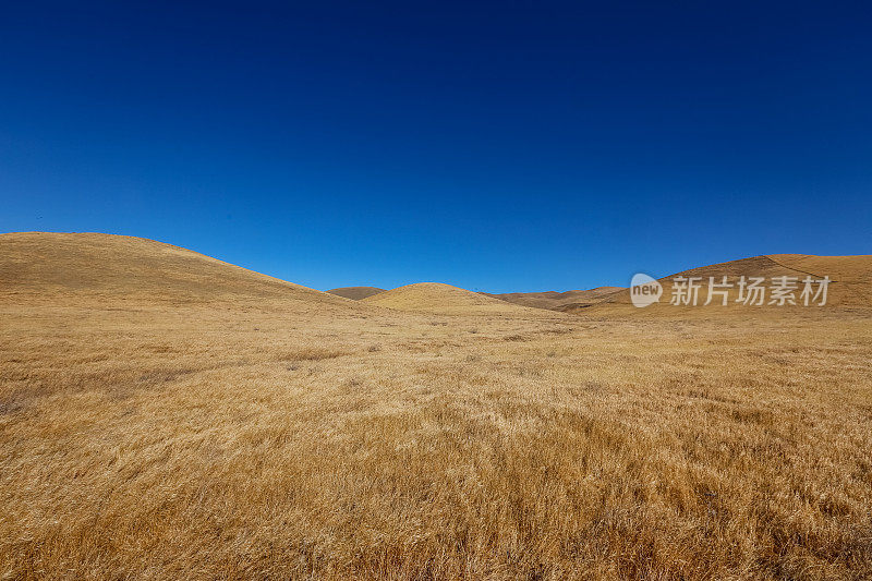中央谷地的干燥草原