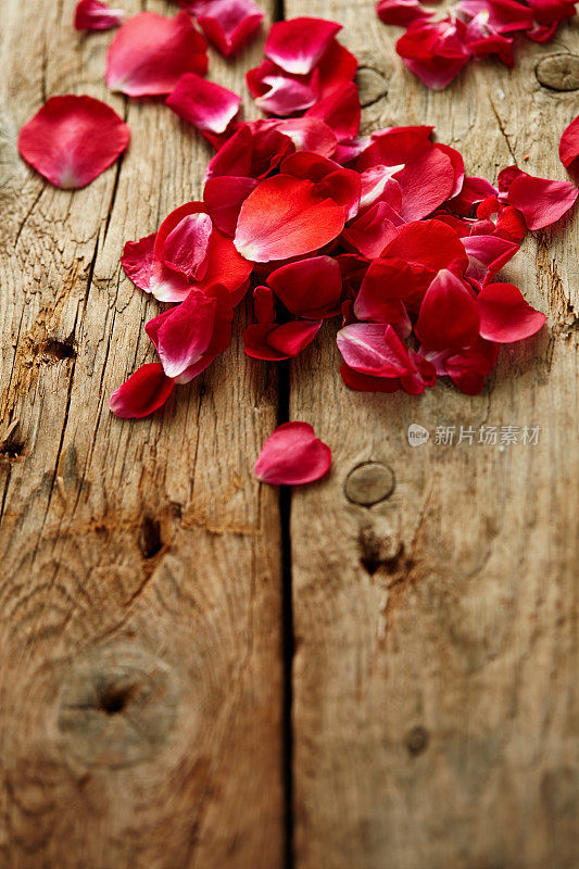 红玫瑰花瓣放在木桌上