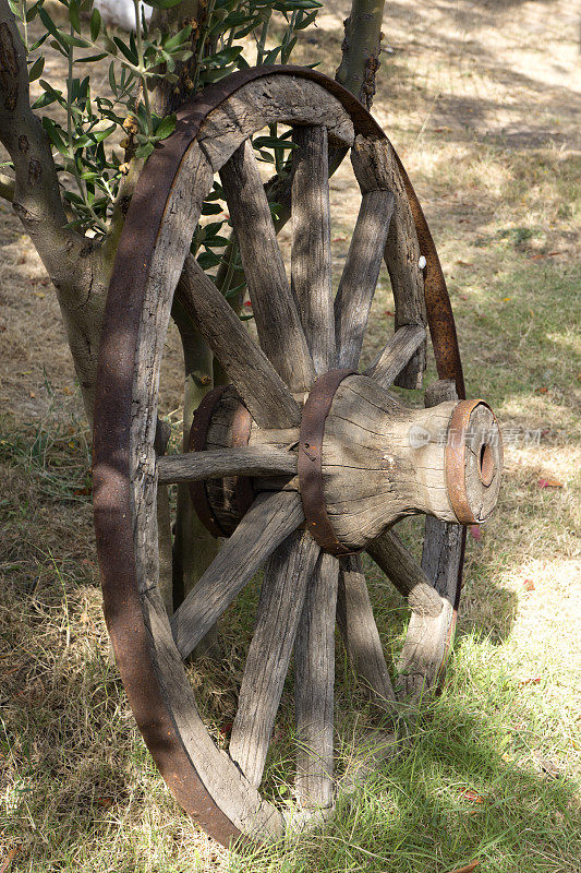 装饰花园中的旧侧手轮