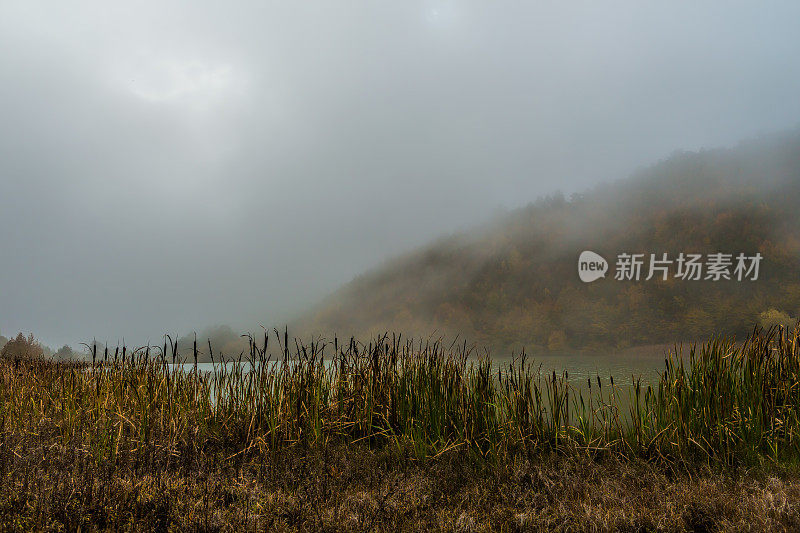 有雾的秋景