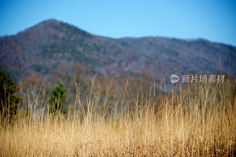 烟雾缭绕的高山景观