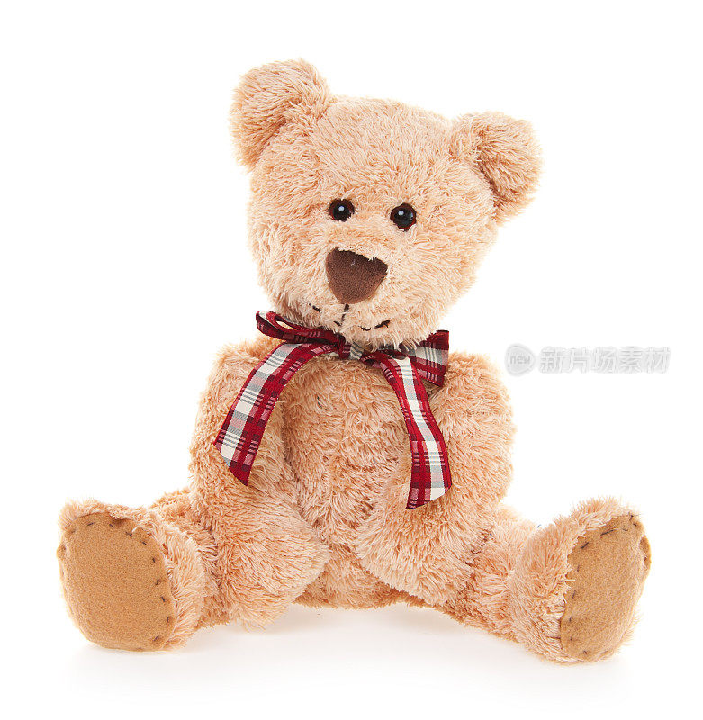 可爱的泰迪熊玩具坐着，孤立的白色