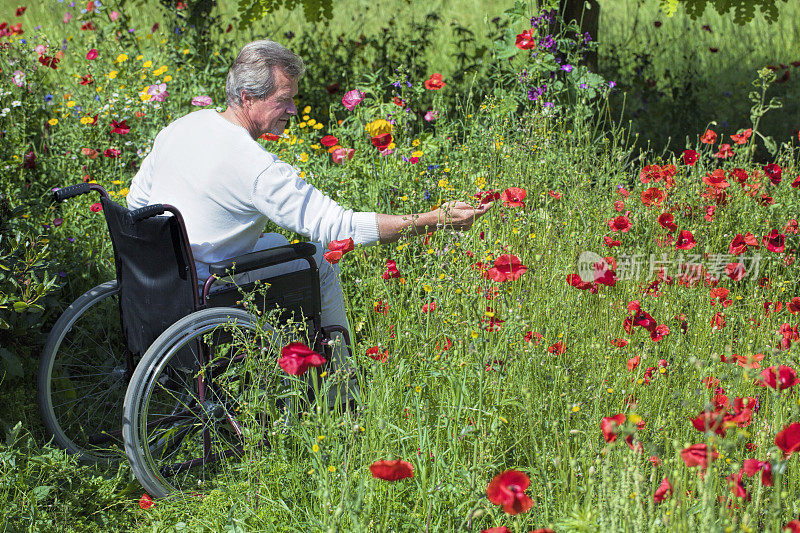 轮椅上的老人在花园里摘花