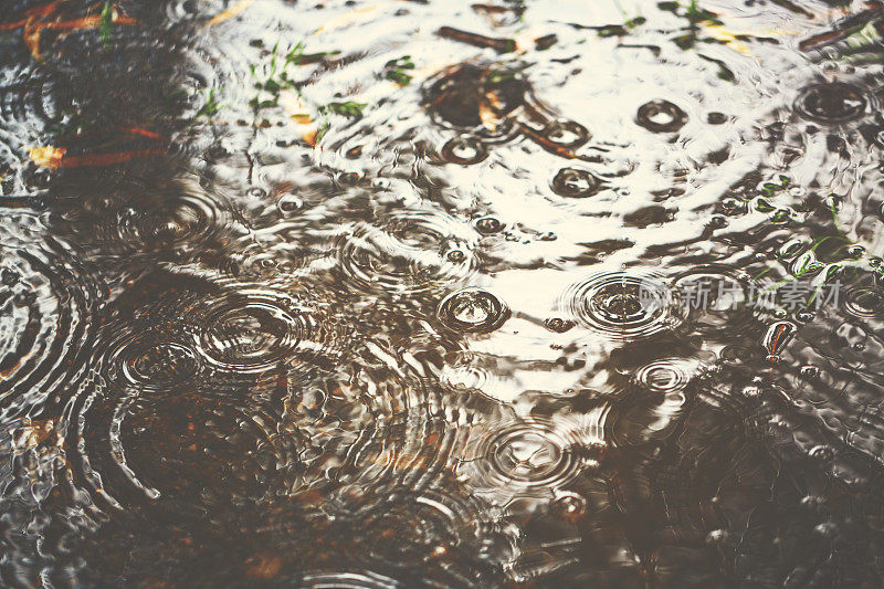 雨滴落在水坑里