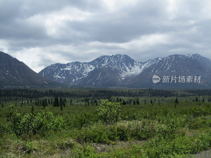 阿拉斯加德纳里国家公园的麦金利山