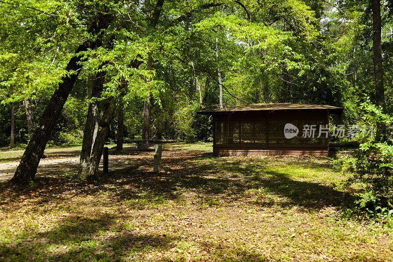 公园的树木繁茂的区域。野餐馆,森林。春天树木。