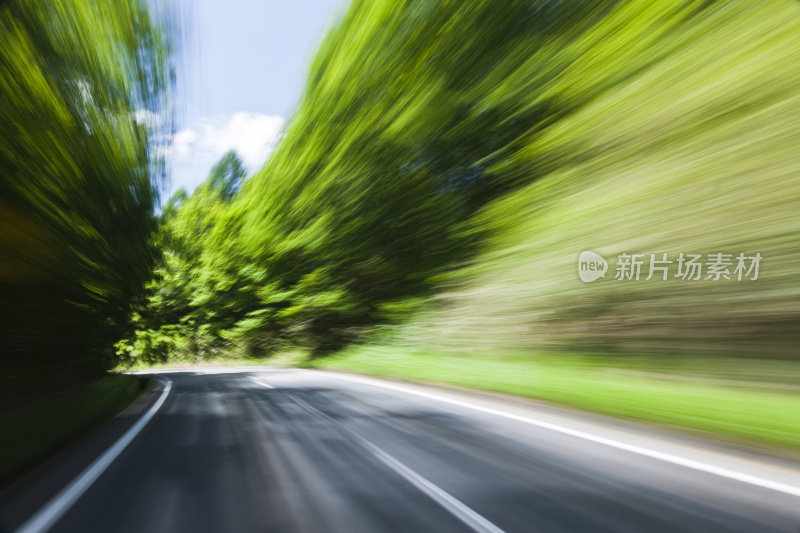 汽车在森林路上行驶