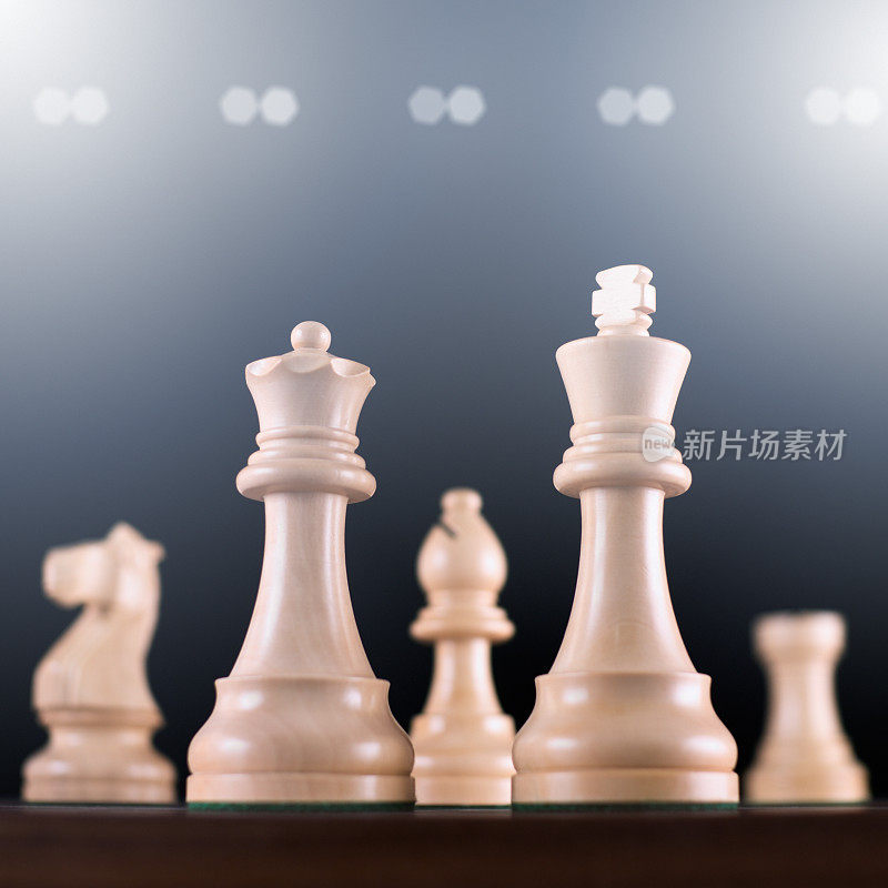国际象棋锦标赛XL