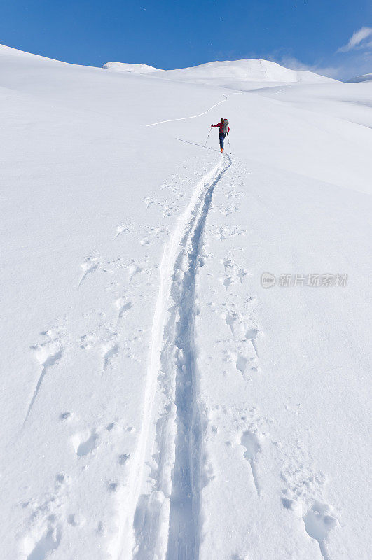 在崎岖的科罗拉多圣胡安山脉滑雪