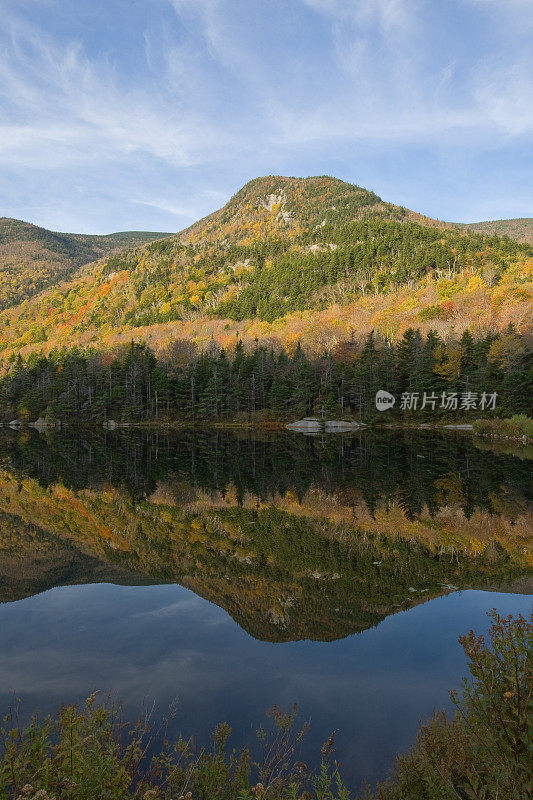 秋天的森林湖泊