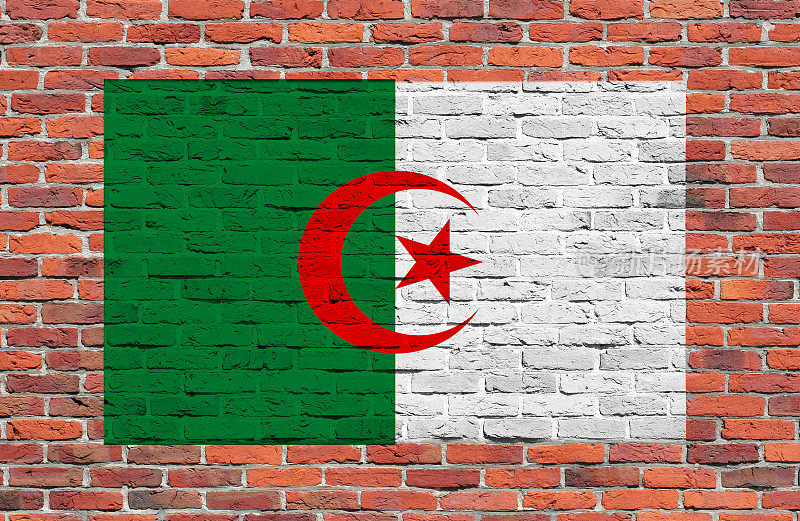 一面阿尔及利亚国旗涂在砖墙上