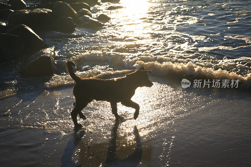 波罗的海伯恩霍尔姆的冬天。