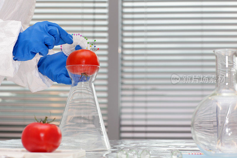 穿着防护服的科学家在番茄上工作