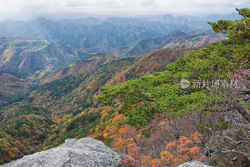 秋天的山