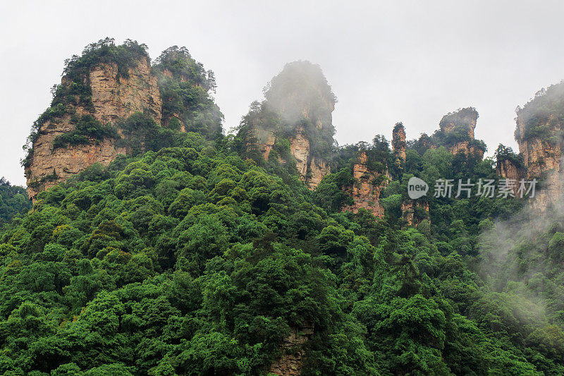 巨大的岩石山环绕着绿色的树木和白色的云雾。史诗山景观