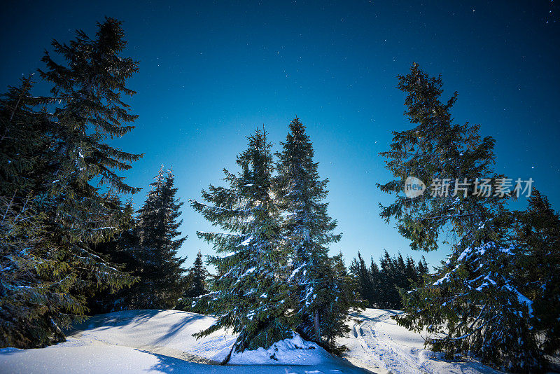 雪山里的夜星