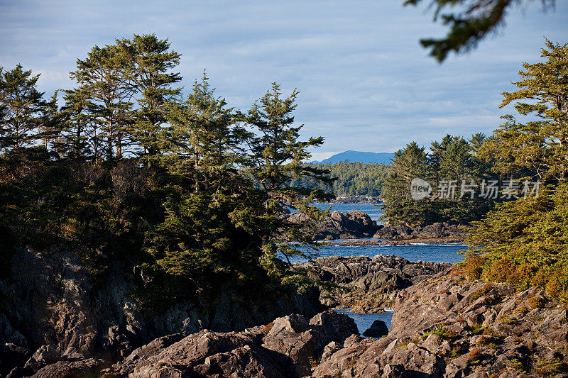 沿着野生太平洋小径的海景，Ucluelet