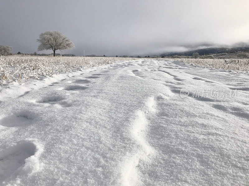 白色风景-科罗拉多州西部高海拔冬季降雪