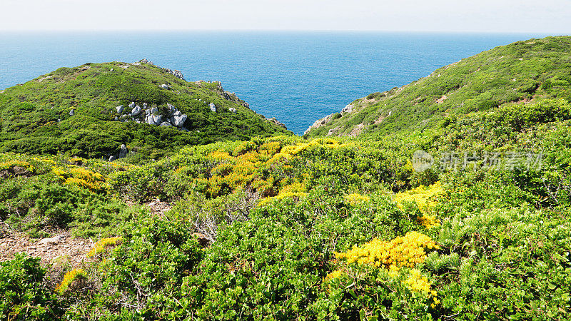 海岸线景观