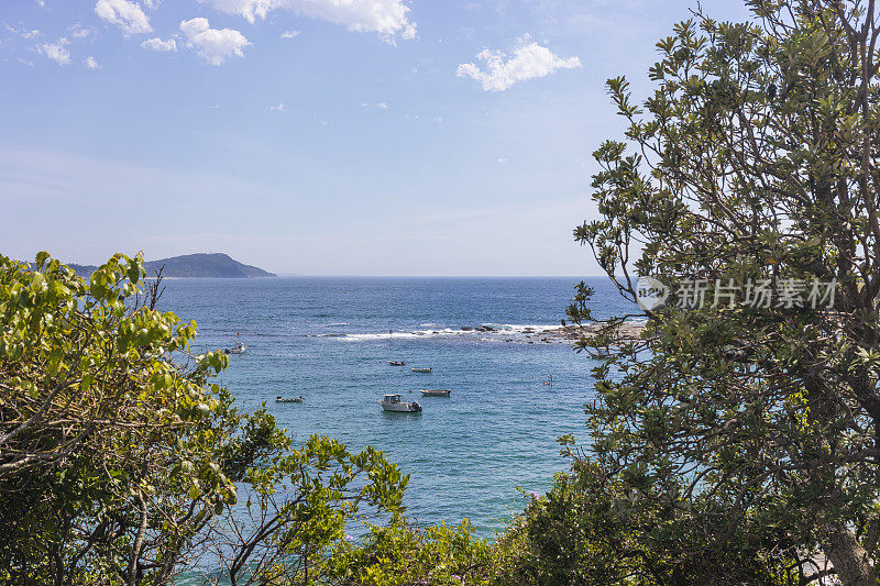 海湾的港湾船港在Terrigal