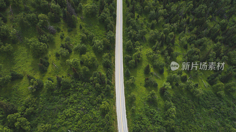 阿拉斯加公路和森林鸟瞰图