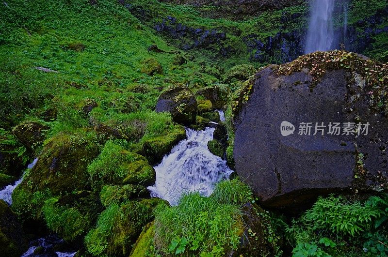 沃森溪丛林岩