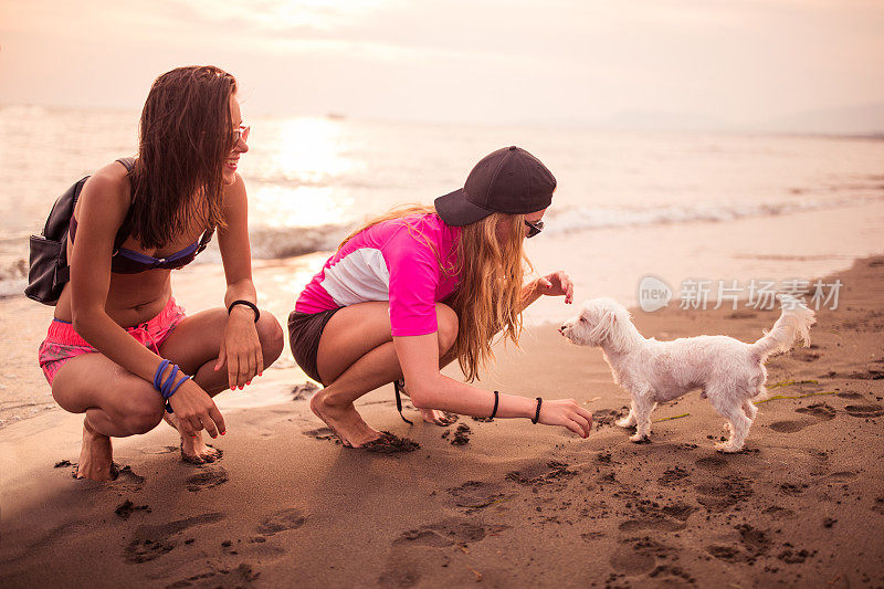 朋友和狗在海滩度假