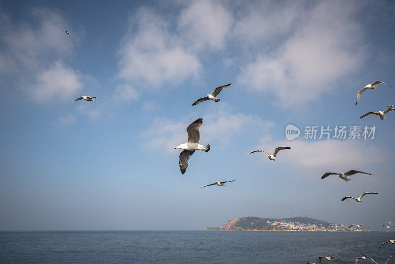 土耳其马尔马拉海的王子群岛