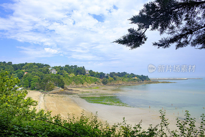 在海滩之间的松树，布列塔尼，法国